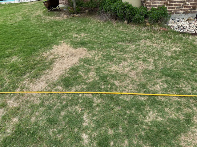 Repairing pet damage to your Burleson, TX lawn